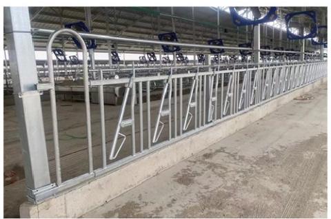 Self-Locking Cattle Headl