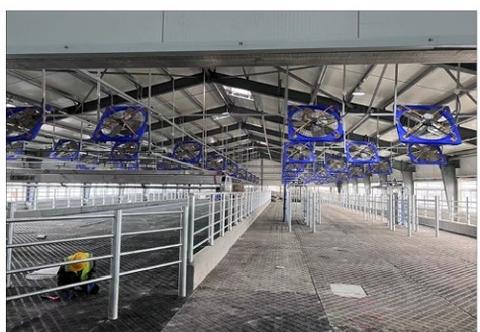 Enhancing Livestock Comfo