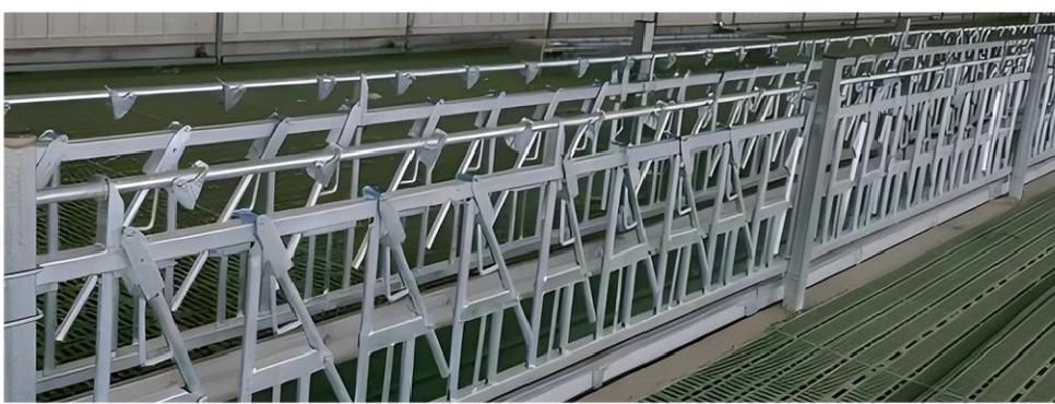 Self-locking   Sheep   Neck Sh