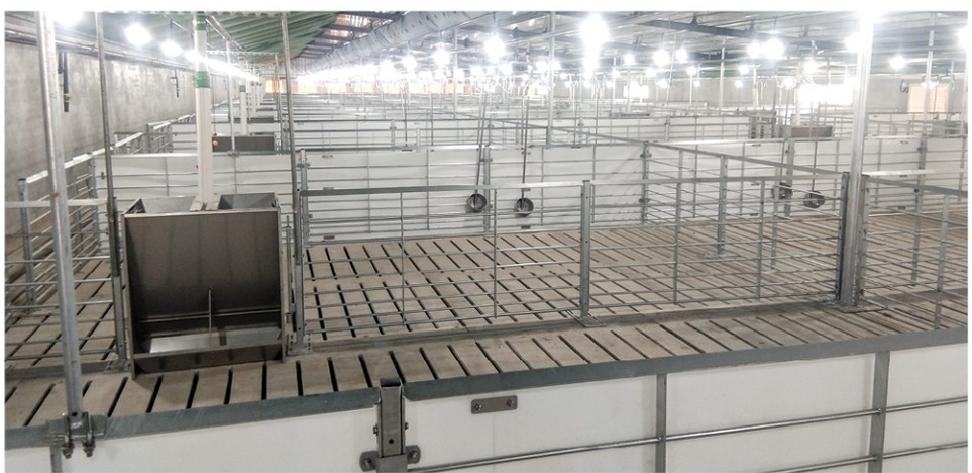 Conservation and Fattening Col