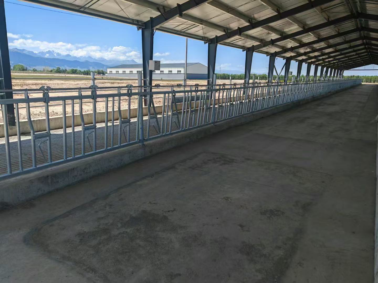 Self-locking    Oxneckyoke